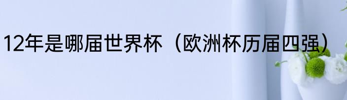 12年是哪届世界杯（欧洲杯历届四强）