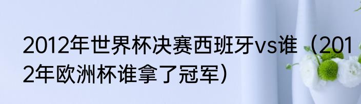 2012年世界杯决赛西班牙vs谁（2012年欧洲杯谁拿了冠军）