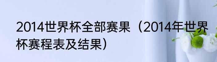 2014世界杯全部赛果（2014年世界杯赛程表及结果）