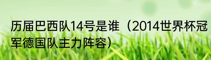 历届巴西队14号是谁（2014世界杯冠军德国队主力阵容）