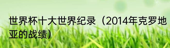 世界杯十大世界纪录（2014年克罗地亚的战绩）