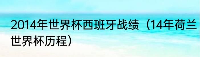2014年世界杯西班牙战绩（14年荷兰世界杯历程）
