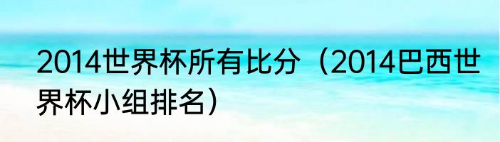 2014世界杯所有比分（2014巴西世界杯小组排名）