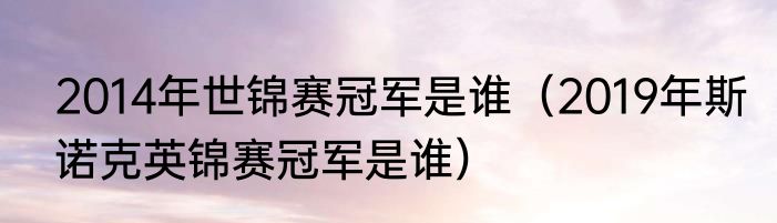 2014年世锦赛冠军是谁（2019年斯诺克英锦赛冠军是谁）