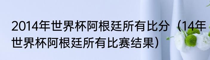 2014年世界杯阿根廷所有比分（14年世界杯阿根廷所有比赛结果）