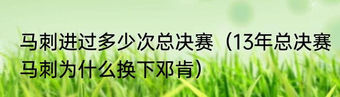 马刺进过多少次总决赛（13年总决赛马刺为什么换下邓肯）