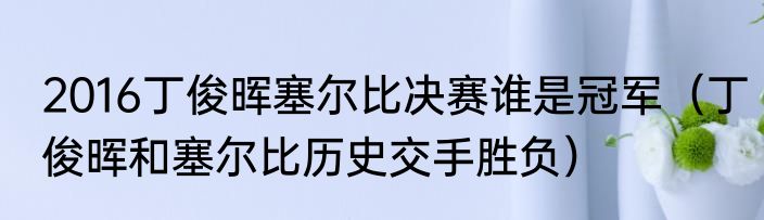 2016丁俊晖塞尔比决赛谁是冠军（丁俊晖和塞尔比历史交手胜负）