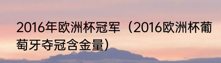 2016年欧洲杯冠军（2016欧洲杯葡萄牙夺冠含金量）