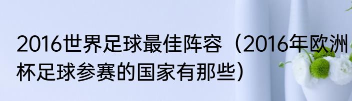 2016世界足球最佳阵容（2016年欧洲杯足球参赛的国家有那些）