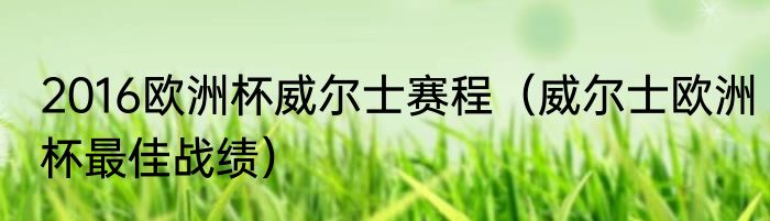 2016欧洲杯威尔士赛程（威尔士欧洲杯最佳战绩）