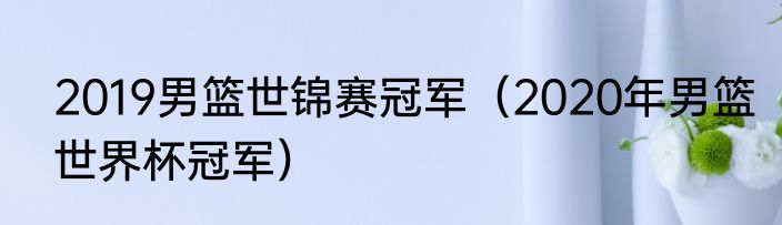 2019男篮世锦赛冠军（2020年男篮世界杯冠军）