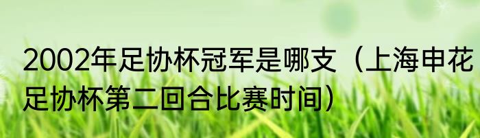 2002年足协杯冠军是哪支（上海申花足协杯第二回合比赛时间）