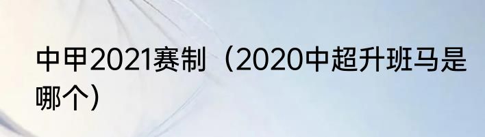 中甲2021赛制（2020中超升班马是哪个）