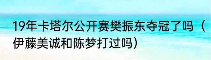 19年卡塔尔公开赛樊振东夺冠了吗（伊藤美诚和陈梦打过吗）