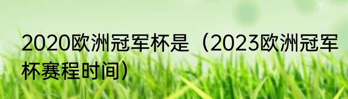 2020欧洲冠军杯是（2023欧洲冠军杯赛程时间）