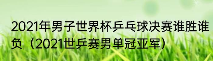 2021年男子世界杯乒乓球决赛谁胜谁负（2021世乒赛男单冠亚军）