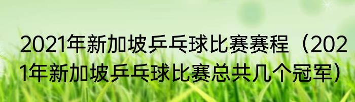 2021年新加坡乒乓球比赛赛程（2021年新加坡乒乓球比赛总共几个冠军）