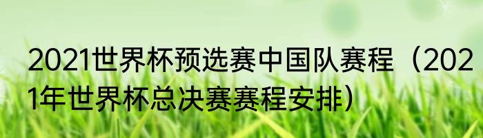 2021世界杯预选赛中国队赛程（2021年世界杯总决赛赛程安排）