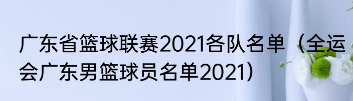 广东省篮球联赛2021各队名单（全运会广东男篮球员名单2021）