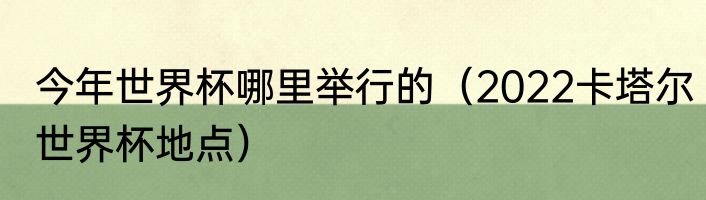 今年世界杯哪里举行的（2022卡塔尔世界杯地点）