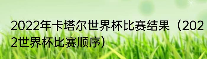 2022年卡塔尔世界杯比赛结果（2022世界杯比赛顺序）