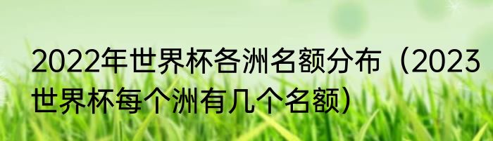 2022年世界杯各洲名额分布（2023世界杯每个洲有几个名额）