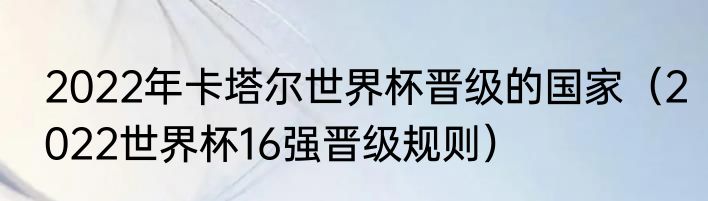 2022年卡塔尔世界杯晋级的国家（2022世界杯16强晋级规则）