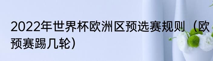 2022年世界杯欧洲区预选赛规则（欧预赛踢几轮）