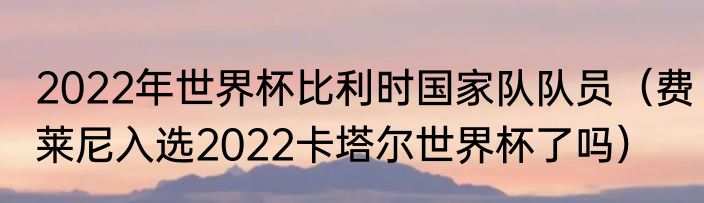 2022年世界杯比利时国家队队员（费莱尼入选2022卡塔尔世界杯了吗）