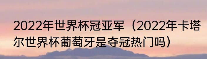 2022年世界杯冠亚军（2022年卡塔尔世界杯葡萄牙是夺冠热门吗）