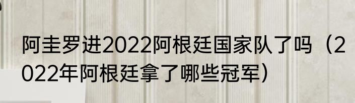 阿圭罗进2022阿根廷国家队了吗（2022年阿根廷拿了哪些冠军）