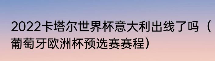 2022卡塔尔世界杯意大利出线了吗（葡萄牙欧洲杯预选赛赛程）