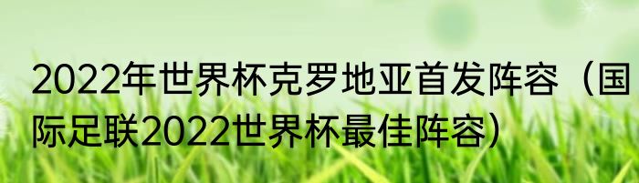 2022年世界杯克罗地亚首发阵容（国际足联2022世界杯最佳阵容）