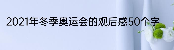 2021年冬季奥运会的观后感50个字