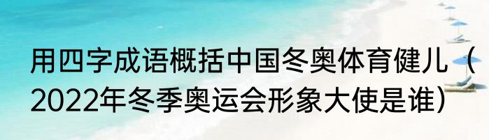 用四字成语概括中国冬奥体育健儿（2022年冬季奥运会形象大使是谁）
