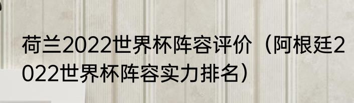 荷兰2022世界杯阵容评价（阿根廷2022世界杯阵容实力排名）