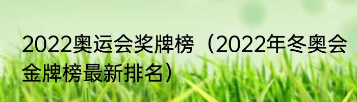 2022奥运会奖牌榜（2022年冬奥会金牌榜最新排名）