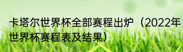 卡塔尔世界杯全部赛程出炉（2022年世界杯赛程表及结果）