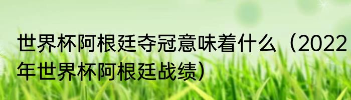 世界杯阿根廷夺冠意味着什么（2022年世界杯阿根廷战绩）