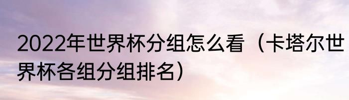 2022年世界杯分组怎么看（卡塔尔世界杯各组分组排名）