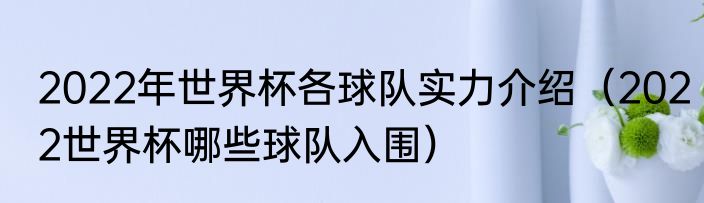 2022年世界杯各球队实力介绍（2022世界杯哪些球队入围）