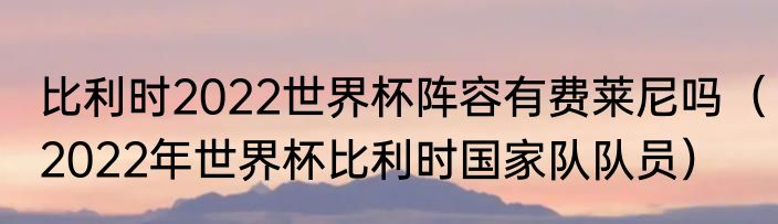 比利时2022世界杯阵容有费莱尼吗（2022年世界杯比利时国家队队员）