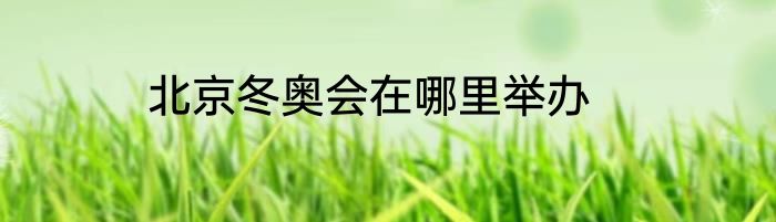 北京冬奥会在哪里举办
