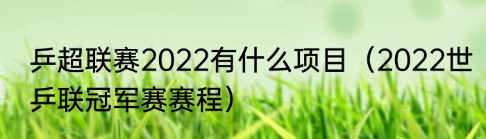 乒超联赛2022有什么项目（2022世乒联冠军赛赛程）