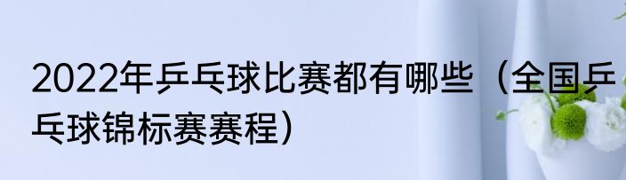 2022年乒乓球比赛都有哪些（全国乒乓球锦标赛赛程）
