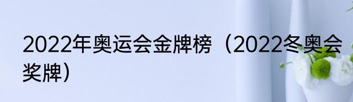 2022年奥运会金牌榜（2022冬奥会奖牌）