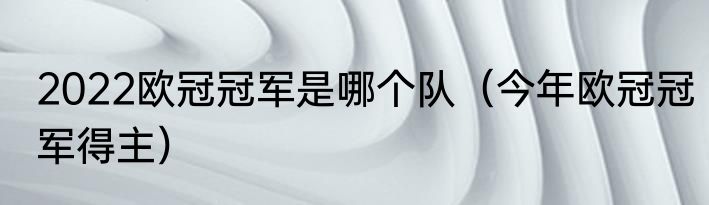 2022欧冠冠军是哪个队（今年欧冠冠军得主）