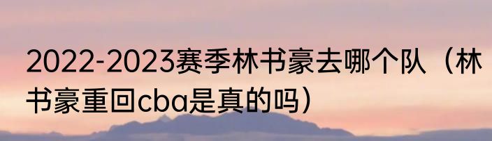 2022-2023赛季林书豪去哪个队（林书豪重回cba是真的吗）