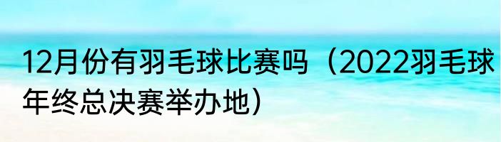 12月份有羽毛球比赛吗（2022羽毛球年终总决赛举办地）