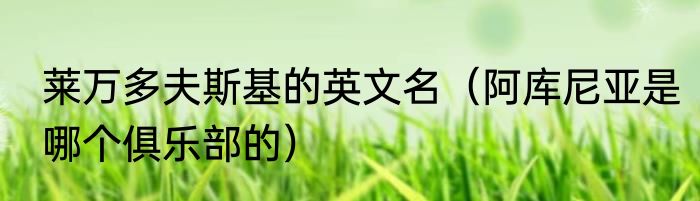 莱万多夫斯基的英文名（阿库尼亚是哪个俱乐部的）